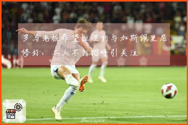 罗马老板希望拉涅利与加斯佩里尼修好，二人不打招呼引关注