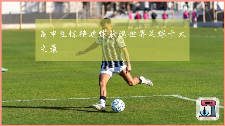 高中生惊艳进球获选世界足球十大之最