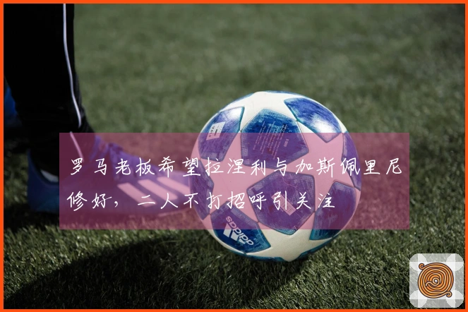 罗马老板希望拉涅利与加斯佩里尼修好，二人不打招呼引关注